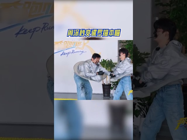 周深秒变暹罗猫本喵 #奔跑吧13