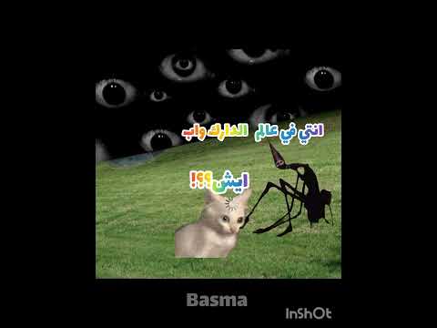 (دريم كور )اتلخبت في الاسم#لايك_اشتراك #مهتم بي هذا المحتوى فولو مي🎀 #cat#غزاة تموت جوع