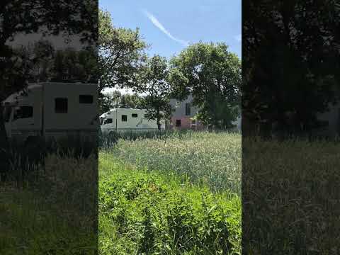 Посадиш рідко - вродить дідько?