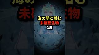 海の闇に潜む…未確認生物2選