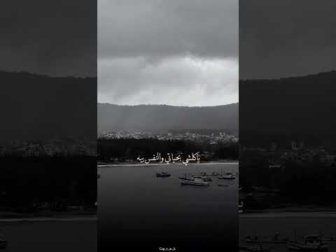 احبك موت فوك الحب بشويه.محمد عبد الجبار #لايك_اشتراك