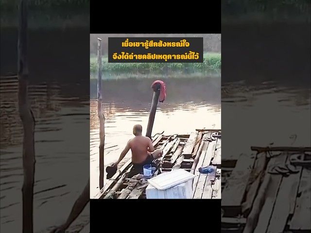 เมื่อเขารู้สึกสังหรณ์ใจ จึงได้ถ่ายคลิปเหตุการณ์นี้ไว้ #wildlife #animals #buaya #crocodile #shorts