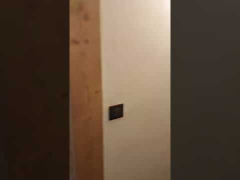 Video realizado por la propiedad