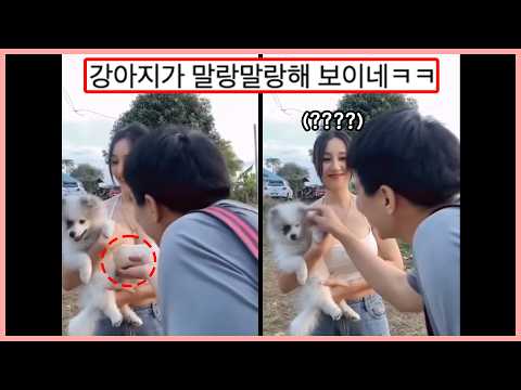 ㅇㅎ) 한 번 만져봐도 돼요?,,, 은근슬젖 스리슬젖 쓰다듬기 ㅗㅜㅑ (웃긴영상)