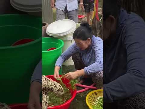 ngày 20 tháng 10, 2025