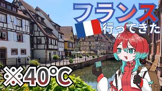 【あつすぎ】世界三大ミネラルショーの一つから帰ってきたよ～～【宝石研磨師見習い Vtuber】