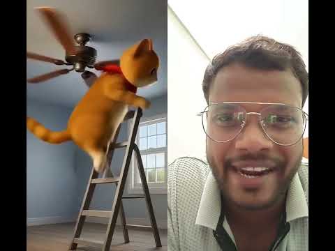 Stupid cat 😺 #funny #cat #cute #funnycats #cartoonvideo #cutecat #shorts #trending