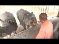 Uttar Pradesh CM Yogi Adityanath visited a Zoo in Gorakhpur | News9