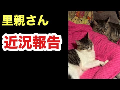 里親さんから近況報告いただきました