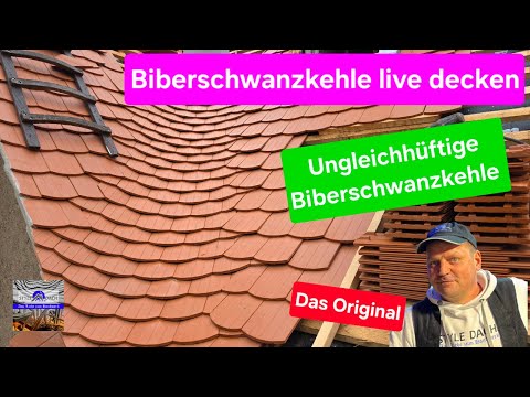 Biberschwanzkehle (ungleichhüftig) ansetzen - Teil 74 - 03.06.26 - Biberdach Leipzig