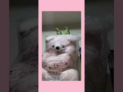 तोता सुंदर लग रहे हैं 🦜🦜💖🌸🩷#shotts# ytshorts#trending #