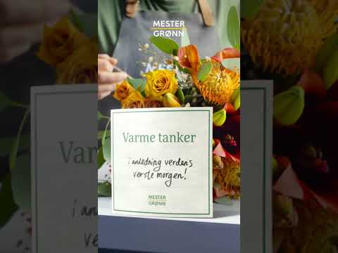 Verdens verste morgen 6 s.