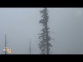 Fresh Snowfall Blankets Pir Panjal Range in Jammu and Kashmir, Bringing Relief and Rejuvenation  - 01:22 min - News - Video