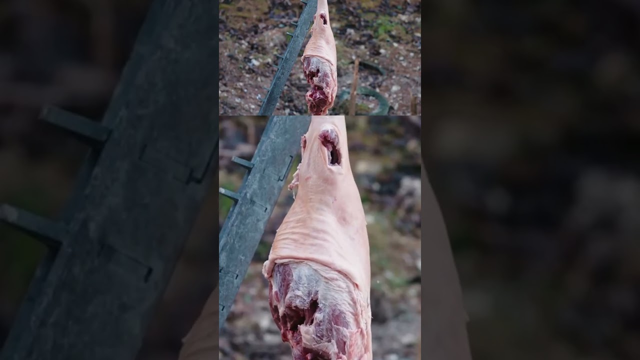 Jakie obrażenia zadaje gumowa kula