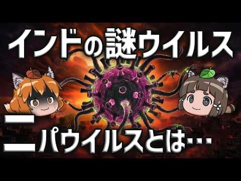 【致死率40～75％】インドで暴れる「ニパウイルス」本当の恐ろしさとは…