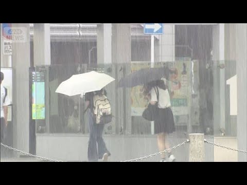 経済金融の動画サムネイル - 関東など再びゲリラ雷雨か　大気不安定つづく(2025年7月2日)