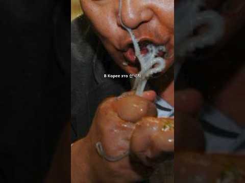 Орудие убийства - осьминог #трукрайм #корея