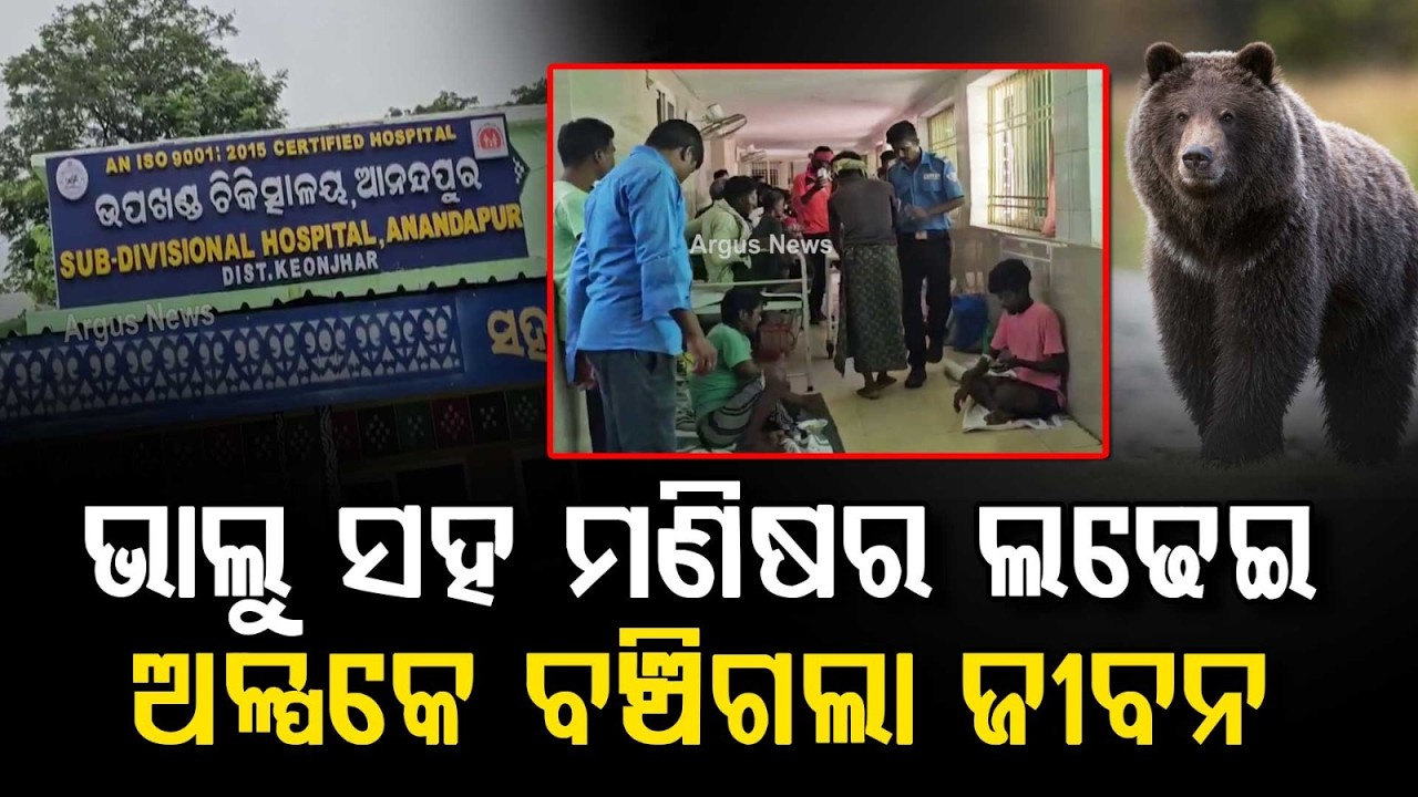 Man Fights Off 3 Bears Simultaneously In Mayurbhanj; Narrow Escape From Jaws Of Death | Argus News