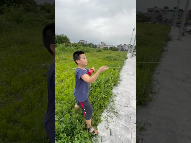 Thả diều - ra hết dây diều để diều bay thật cao #layangan #patang #kite #diềusáo #shorts #xuhướng