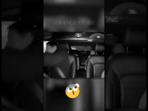 Blackbox Horror: Dog Causes Taxi Chaos & Crash!