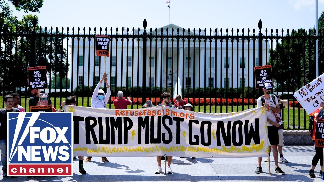 'Who's paying for these protests?': Dems accused of 'phony' opposition