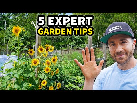 5 Tricks To Make Your Garden EXPLODE This Year!