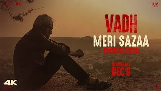 Meri Sazaa ~ Hardik Bhardwaj [Vadh] Video song