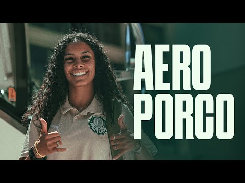 image para ilustrar o artigo