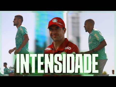 image para ilustrar o artigo