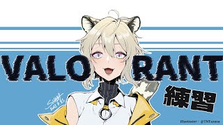 【VALORANT/特戰英豪】摸摸偷偷跳跳走走【#665】