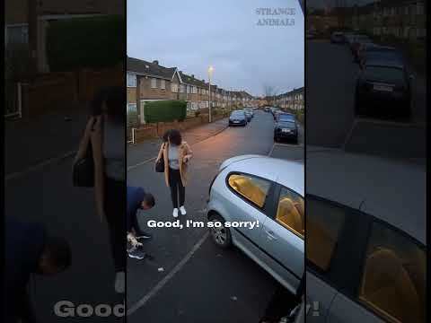 CCTV: Unleashed Bulldog Rushes Woman, Owner Saves Day! (Dawn)