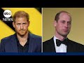 Princes William and Harry appear separately at Diana Awards as royal concerns grow