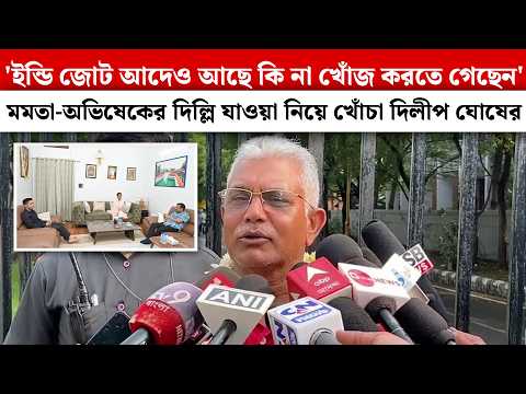 'ইন্ডি জোট আদেও আছে কি না খোঁজ করতে গেছেন' মমতা-অভিষেকের দিল্লি যাওয়া নিয়ে খোঁচা দিলীপ ঘোষের