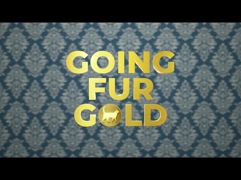 Going Fur Gold'