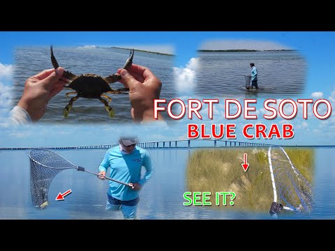 Fort de soto park, fishing & wade crabbing & south Florida saltwater fishing video thumbnail