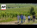 Ukrainian winemakers get Napa Valleys help in revitalizing war-scarred vineyards
