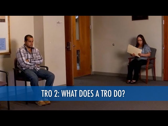 What Does a Temporary Restraining Order Do? (TRO 2/4)