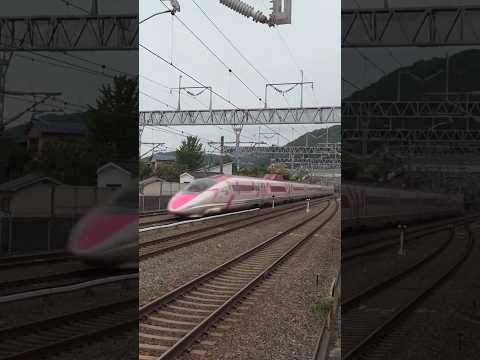 あぁっ!!500系ハローキティ新幹線 団体臨時列車