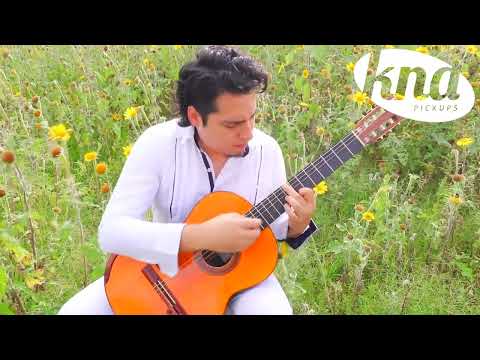 Jorge Amelco demos the KNA NG-2 | Serenade IV by Hector Hellion