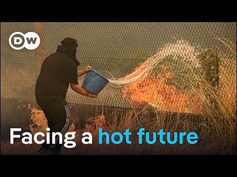 Heatwave puts Europe to the test | DW News