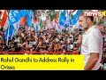 Rahul Gandhi to Address Rally in Orissa | Congs Campaign For 2024 General Elections | NewsX