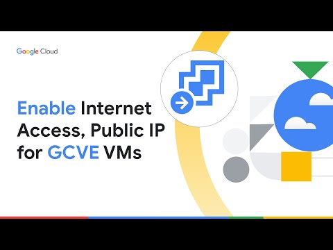 How to enable internet access and public IP for GCVE VMs