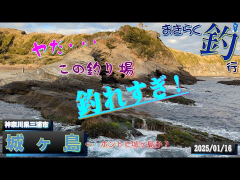 【#城ヶ島】#おきらく釣行【2025/01/16後】