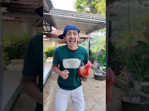 Bapak ada ogoh ogoh hamud habibi #funny #shorts