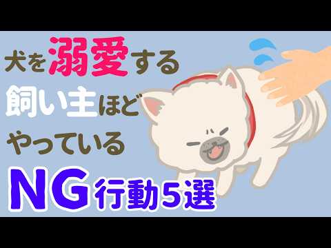 犬が迷惑に思ってる!犬好きな人ほどやってる飼い主のNG行動
