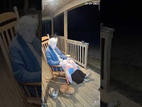 Grandma's Cat Squad Defeats the Lion King! (100 Years of Zen) 👵👑🦁💥