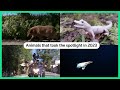 Animals that took the spotlight in 2023 | Reuters