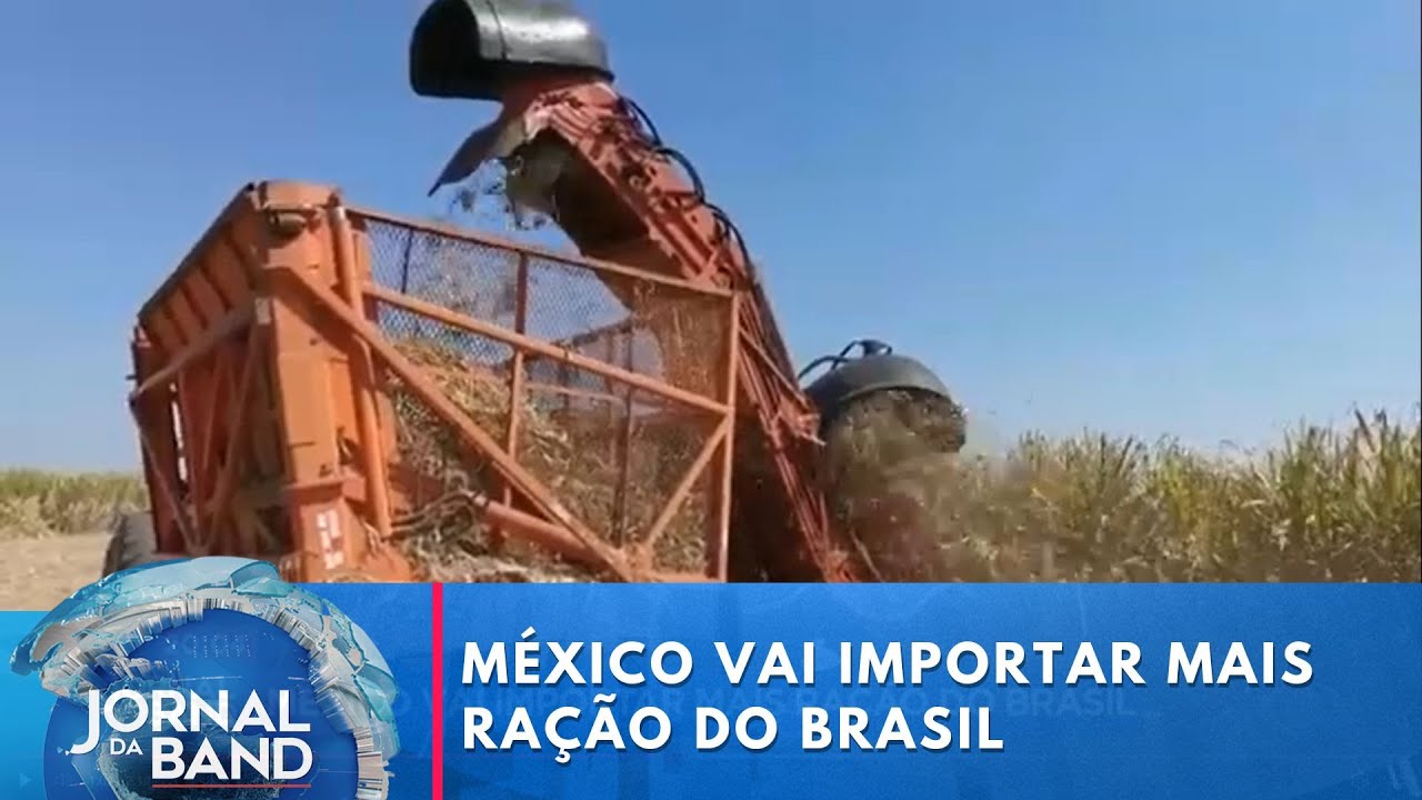 México vai importar mais ração do Brasil | Jornal da Band