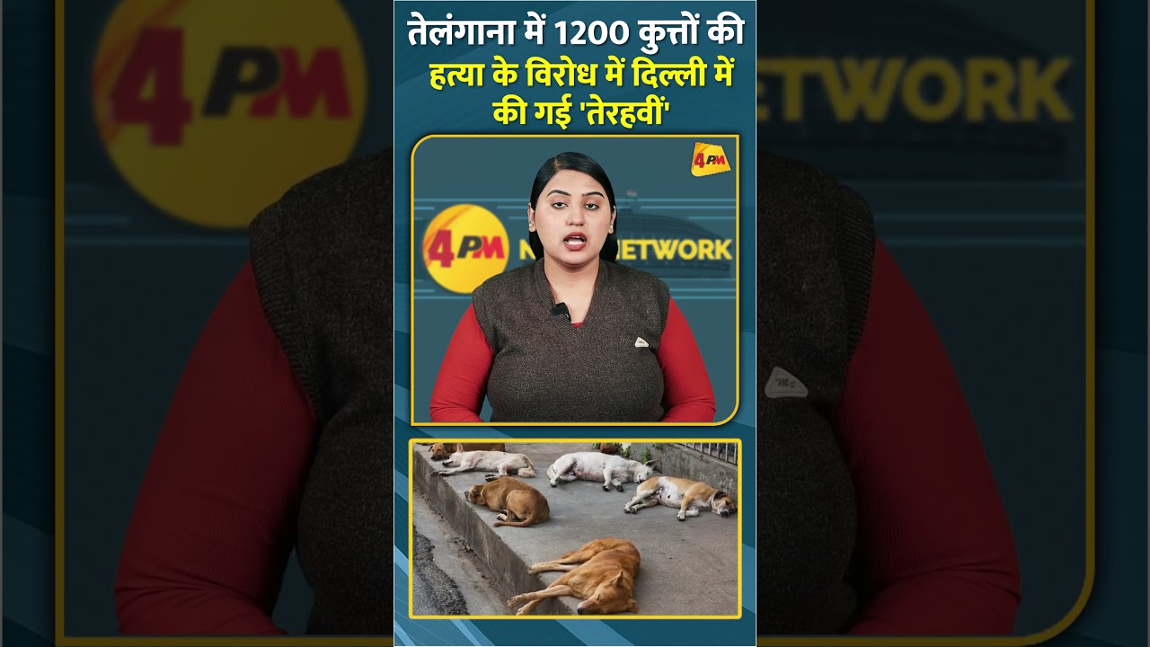तेलंगाना में 1200 कुत्तों की हत्या के विरोध में दिल्ली में की गई 'तेरहवीं' #shorts #short