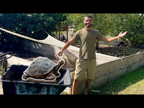 Full Tortoise & Turtle *TOUR* On My RANCH!